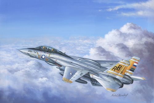 Grumman F14A Tomcat  80366