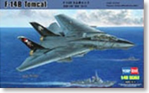 Grumman F14B Tomcat  80367