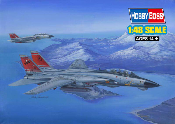 Grumman F14D Tomcat 80368
