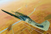 Focke Wulf FW190D-11 81718