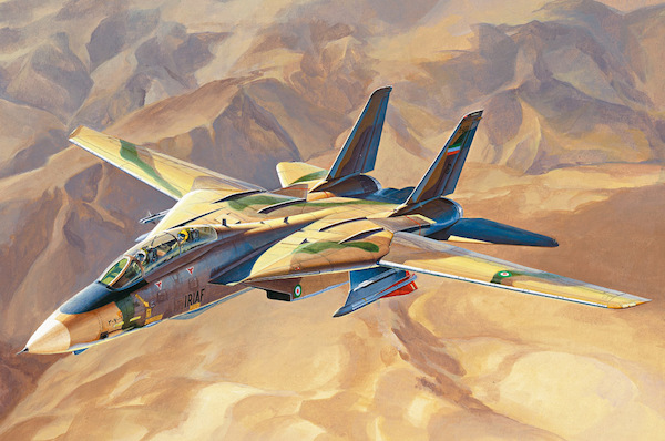 Grumman F14A Tomcat "PERSIAN CAT"  IRIAF  81771