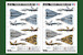 Grumman F14A Tomcat "PERSIAN CAT"  IRIAF  81771
