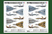Grumman F14A Tomcat "PERSIAN CAT"  IRIAF  81771