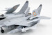 Mikoyan MiG29K Fulcrum All weather Carrier born Multi Role Aircraft  81786