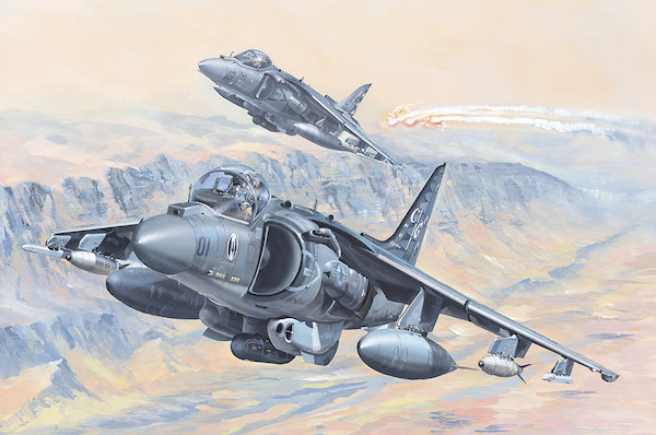 AV8B Harrier II  81804