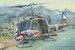 Bell UH1B Huey B 81806
