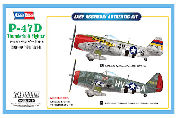 P47D Thunderbolt 85804