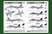 F/A18F Super Hornet 85813