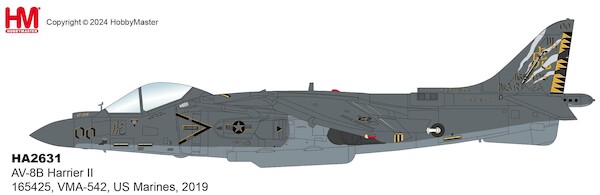 Harrier II AV-8B 165425/00, VMA-542, US Marines, 2019  HA2631