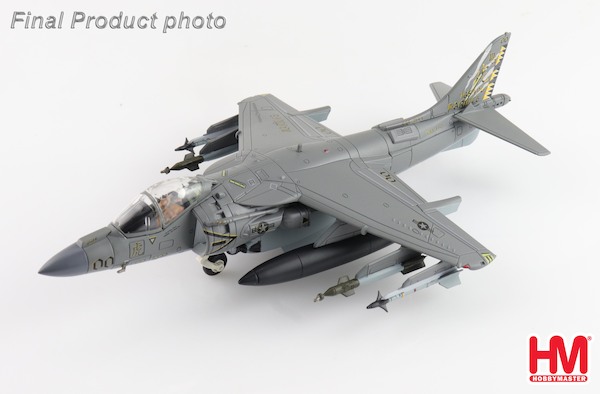 Harrier II AV-8B 165425/00, VMA-542, US Marines, 2019 HA2631