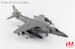 Harrier II AV-8B 165425/00, VMA-542, US Marines, 2019  HA2631