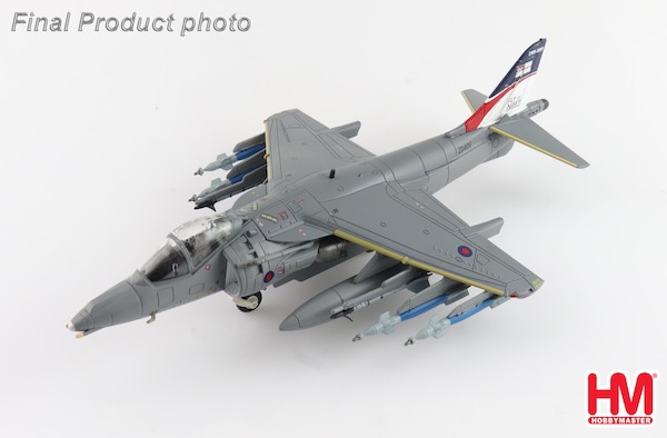Harrier GR.9 ZD406, Royal Navy Strike Wing, RAF Station Cottesmore, 2009  HA2652