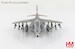 Harrier GR.9 ZD406, Royal Navy Strike Wing, RAF Station Cottesmore, 2009  HA2652