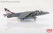Harrier GR.9 ZD406, Royal Navy Strike Wing, RAF Station Cottesmore, 2009  HA2652