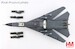 F111C Aardvark "Farewell scheme" A8-129, No.1 Sqn., RAAF, Dec 2010  HA3036