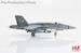 F/A-18C Hornet "Death Rattlers" 165220, VMFA-323,  US Marines, 2021  HA3583