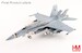 F/A-18C Hornet "Death Rattlers" 165220NA-401, VMFA-323,  US Marines, 2021 
