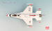 F16C Fighting Falcon Thunderbirds No.1 plane, USAF, RIAT 2017  HA38039