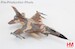 F16AC Fighting Falcon "Rockslide" 85-474, 706th Aggressor Squadron, USAF  HA38055