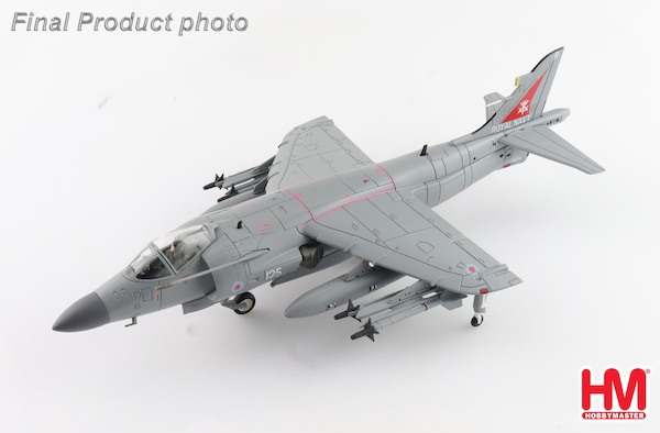 Sea Harrier FA.2 ZH804, Royal Navy, Fairford 2002 (w/ Sea Eagle missiles)  HA4107