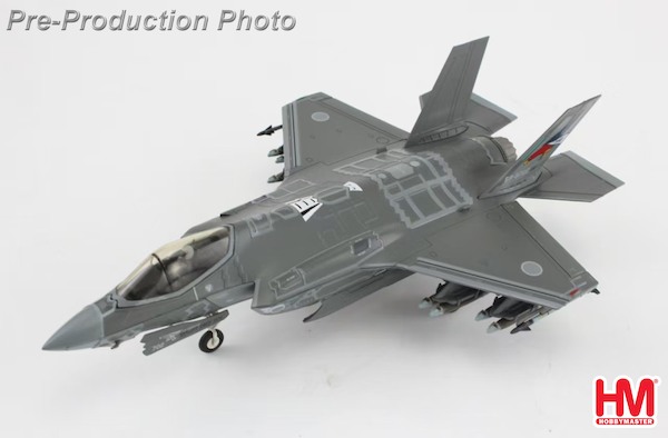 F35A Lightning II 69-8702, 302nd FS, JASDF (w/painted RAM panels) HA4443