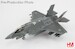 F35A Lightning II 69-8702, 302nd FS, JASDF (w/painted RAM panels) 