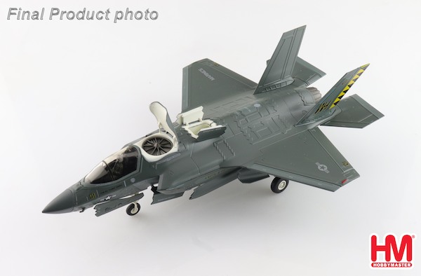 F35B Lightning II, "Black Death" 170064, VMFA-542 "Tigers" , MCAS Cherry Point, 202 HA4622