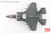 F35B Lightning II, "Black Death" 170064, VMFA-542 "Tigers",  MCAS Cherry Point, 2023  (beast mode)  HA4622b