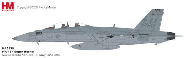 F/A-18F Super Hornet AG203/166613, VFA-103 "Jolly Rogers",  US Navy, June 2016  HA5139
