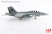 F/A-18F Super Hornet US Navy "Green Hornet" 165875, VX-23, Patuxent River, 2011  HA5142
