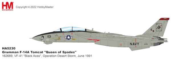 Grumman F14A Tomcat US Navy "Queen of Spades" 162689, VF-41 "Black Aces", Operation Desert Storm, June 1991 HA5230