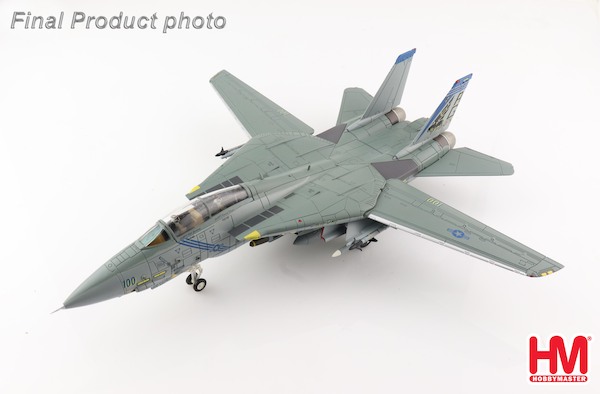 Grumman F14B Tomcat US Navy, "OEF" 163220, VF-143 "Pukin Dogs", 2002 HA5243