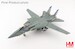 Grumman F14B Tomcat US Navy, "OEF" 163220, VF-143 "Pukin Dogs", 2002