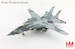 Grumman F14B Tomcat US Navy, "VF-74 Adversary Tomcat" 162919, VF-74 "Be-Devilers", 1994
