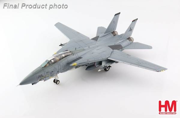 Grumman F14D Tomcat US Navy, 164394/212, flown by Lt Cdr Meagan V. Flannigan , VF-213, USS Theodore Roosevelt, Persian Gulf 2006 HA5249