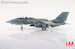 Grumman F14B Tomcat US Navy "Last Gypsy Roll" 161860, VF-32 "Swordsmen", NAS Oceana, September 2005  HA5254