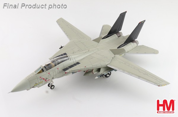 Grumman F14A Tomcat "Bandit" (with decal for Bandit Nation + bonus decal) HA5258