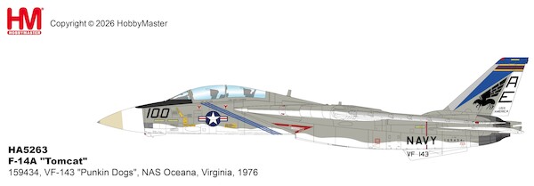 Grumman F14A Tomcat US Navy 159434, VF-143 "Punkin Dogs", NAS Oceana, Virginia, 1976  HA5263