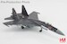 Suchoi Su35S Flanker E Red 08/RF-93648, Russian Air Force,  Zhuhai Jinwan Airport, 2014  HA5712