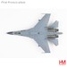 Sukhoi Su27SK Flanker B PLAAF, Chelyabinsk "Peace Mission-2018" (w/R73, R27 & S-13 rocket pods) HA6014b