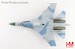 Sukhoi Su27 Flanker B  Red 14, Russian Air Force, 1990  HA6020