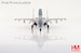 Sukhoi Su-27 Flanker "Compass Ghost Grey scheme"  Ukrainian Air Force, 2023 (with AGM-88 and IRIS-T missiles)  HA6021