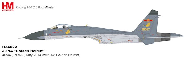 Sukhoi Su-27 / J-11A "Golden Helmet" 40547, PLAAF, May 2014 (with 1/8 Golden Helmet) HA6023
