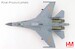 Sukhoi Su-27SK "Siberian Tiger" 11027, The First Div. of PLAAF, 2001  HA6026