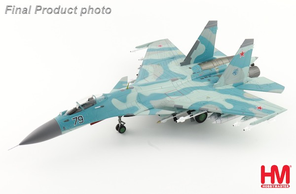 Sukhoi Su-27K Sea Flanker (T10K-5) Blue 79, Russian Air Force, 1995 (w/KH-41 "Moskit")  HA6051