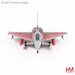 Eurofighter EF2000 "Back Again" 31+07, TaktLwG, 2025 HA6634