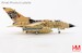Tornado ECR Luftwaffe "NATO Tiger Meet 2025" 46+38, TAW 51 "Immelmann", Beja AB, 2025  HA6733