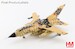 Tornado ECR Luftwaffe "NATO Tiger Meet 2025" 46+38, TAW 51 "Immelmann", Beja AB, 2025 