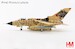Tornado ECR Luftwaffe "NATO Tiger Meet 2025" 46+38, TAW 51 "Immelmann", Beja AB, 2025  HA6733