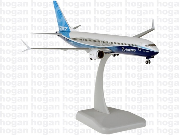 Boeing 737 MAX 9 Boeing House Colors HG11250